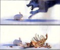 /album/%ce%b1%cf%83%cf%84%ce%b5%ce%af%ce%b1-%ce%bc%ce%b5-%ce%b6%cf%8e%ce%b1-/funny-animals-hunter-become-hunted-8-jpg/
