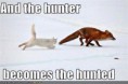 /album/%ce%b1%cf%83%cf%84%ce%b5%ce%af%ce%b1-%ce%bc%ce%b5-%ce%b6%cf%8e%ce%b1-/funny-animals-hunter-become-hunted-10-jpg/