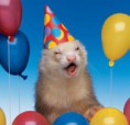 /album/%ce%b1%cf%83%cf%84%ce%b5%ce%af%ce%b1-%ce%bc%ce%b5-%ce%b6%cf%8e%ce%b1-/funny-animals-party-balloons-6-jpg/