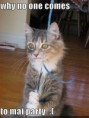 /album/%ce%b1%cf%83%cf%84%ce%b5%ce%af%ce%b1-%ce%bc%ce%b5-%ce%b6%cf%8e%ce%b1-/funny-animals-party-balloons-8-359x480-jpg/