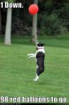 /album/%ce%b1%cf%83%cf%84%ce%b5%ce%af%ce%b1-%ce%bc%ce%b5-%ce%b6%cf%8e%ce%b1-/funny-animals-party-balloons-320x480-jpg/