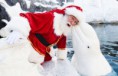 /album/%ce%b1%cf%83%cf%84%ce%b5%ce%af%ce%b1-%ce%bc%ce%b5-%ce%b6%cf%8e%ce%b1-/funny-animals-and-christmas-presents-special-christmas-20-jpg/