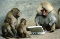 /album/%ce%b1%cf%83%cf%84%ce%b5%ce%af%ce%b1-%ce%bc%ce%b5-%ce%b6%cf%8e%ce%b1-/funny-animals-and-high-tech-3-640x416-jpg/