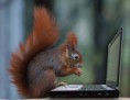 /album/%ce%b1%cf%83%cf%84%ce%b5%ce%af%ce%b1-%ce%bc%ce%b5-%ce%b6%cf%8e%ce%b1-/funny-animals-and-high-tech-6-jpg/