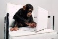/album/%ce%b1%cf%83%cf%84%ce%b5%ce%af%ce%b1-%ce%bc%ce%b5-%ce%b6%cf%8e%ce%b1-/funny-animals-and-high-tech-8-jpg/
