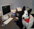 /album/%ce%b1%cf%83%cf%84%ce%b5%ce%af%ce%b1-%ce%bc%ce%b5-%ce%b6%cf%8e%ce%b1-/funny-animals-and-high-tech-9-jpg/