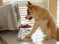 /album/%ce%b1%cf%83%cf%84%ce%b5%ce%af%ce%b1-%ce%bc%ce%b5-%ce%b6%cf%8e%ce%b1-/funny-animals-and-high-tech-12-jpg/