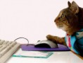 /album/%ce%b1%cf%83%cf%84%ce%b5%ce%af%ce%b1-%ce%bc%ce%b5-%ce%b6%cf%8e%ce%b1-/funny-animals-and-high-tech-14-jpg/