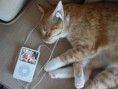 /album/%ce%b1%cf%83%cf%84%ce%b5%ce%af%ce%b1-%ce%bc%ce%b5-%ce%b6%cf%8e%ce%b1-/funny-animals-and-high-tech-16-jpg/