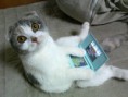 /album/%ce%b1%cf%83%cf%84%ce%b5%ce%af%ce%b1-%ce%bc%ce%b5-%ce%b6%cf%8e%ce%b1-/funny-animals-and-high-tech-18-jpg/