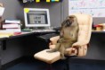 /album/%ce%b1%cf%83%cf%84%ce%b5%ce%af%ce%b1-%ce%bc%ce%b5-%ce%b6%cf%8e%ce%b1-/funny-animals-and-high-tech-20-jpg/