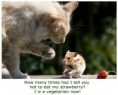 /album/%ce%b1%cf%83%cf%84%ce%b5%ce%af%ce%b1-%ce%bc%ce%b5-%ce%b6%cf%8e%ce%b1-/funny-animals-eating-strawberries-18-jpg/