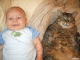 /album/%ce%b1%cf%83%cf%84%ce%b5%ce%af%ce%b1-%ce%bc%ce%b5-%ce%b6%cf%8e%ce%b1-/funny-cats-and-babies-toy-or-pet-4-jpg/