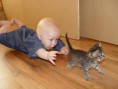 /album/%ce%b1%cf%83%cf%84%ce%b5%ce%af%ce%b1-%ce%bc%ce%b5-%ce%b6%cf%8e%ce%b1-/funny-cats-and-babies-toy-or-pet-5-jpg/