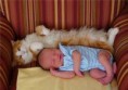 /album/%ce%b1%cf%83%cf%84%ce%b5%ce%af%ce%b1-%ce%bc%ce%b5-%ce%b6%cf%8e%ce%b1-/funny-cats-and-babies-toy-or-pet-6-jpg/
