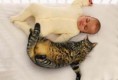 /album/%ce%b1%cf%83%cf%84%ce%b5%ce%af%ce%b1-%ce%bc%ce%b5-%ce%b6%cf%8e%ce%b1-/funny-cats-and-babies-toy-or-pet-7-jpg/