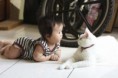 /album/%ce%b1%cf%83%cf%84%ce%b5%ce%af%ce%b1-%ce%bc%ce%b5-%ce%b6%cf%8e%ce%b1-/funny-cats-and-babies-toy-or-pet-8-jpg/