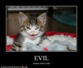 /album/%ce%b1%cf%83%cf%84%ce%b5%ce%af%ce%b1-%ce%bc%ce%b5-%ce%b6%cf%8e%ce%b1-/funny-devils-evil-cats-3-jpg/