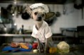 /album/%ce%b1%cf%83%cf%84%ce%b5%ce%af%ce%b1-%ce%bc%ce%b5-%ce%b6%cf%8e%ce%b1-/funny-dog-imitating-human-life-by-irina-werning-6-640x426-jpg/