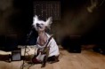 /album/%ce%b1%cf%83%cf%84%ce%b5%ce%af%ce%b1-%ce%bc%ce%b5-%ce%b6%cf%8e%ce%b1-/funny-dog-imitating-human-life-by-irina-werning-17-640x426-jpg/