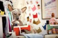 /album/%ce%b1%cf%83%cf%84%ce%b5%ce%af%ce%b1-%ce%bc%ce%b5-%ce%b6%cf%8e%ce%b1-/funny-dog-imitating-human-life-by-irina-werning-18-640x426-jpg/