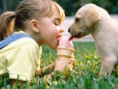 /album/%ce%b1%cf%83%cf%84%ce%b5%ce%af%ce%b1-%ce%bc%ce%b5-%ce%b6%cf%8e%ce%b1-/funny-dogs-and-babies-best-friends-forever-2-jpg/