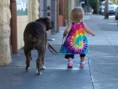 /album/%ce%b1%cf%83%cf%84%ce%b5%ce%af%ce%b1-%ce%bc%ce%b5-%ce%b6%cf%8e%ce%b1-/funny-dogs-and-babies-best-friends-forever-3-636x480-jpg/
