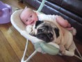 /album/%ce%b1%cf%83%cf%84%ce%b5%ce%af%ce%b1-%ce%bc%ce%b5-%ce%b6%cf%8e%ce%b1-/funny-dogs-and-babies-best-friends-forever-7-jpg/
